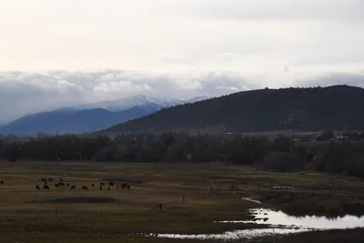 DSC_2615 (Large).JPG